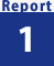 Report 1