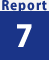 Report 7